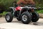 Manual Clutch Water Cooled 250CC Utility Vehicles ATV With CDI Electric Start System
