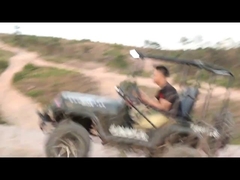 سيارة سباق جو كارت ذات دفع ثنائي 300 سم مكعب