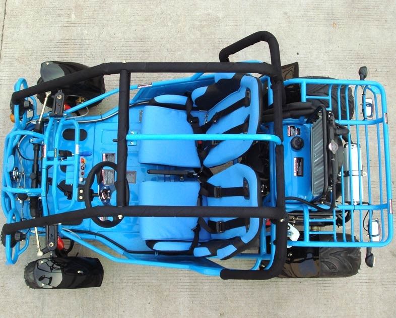 250cc الذهاب كارت العربات التي تجرها الدواب مزدوجة الذراع / واحدة أ - الذراع مع CVT عكس / الطريق صور