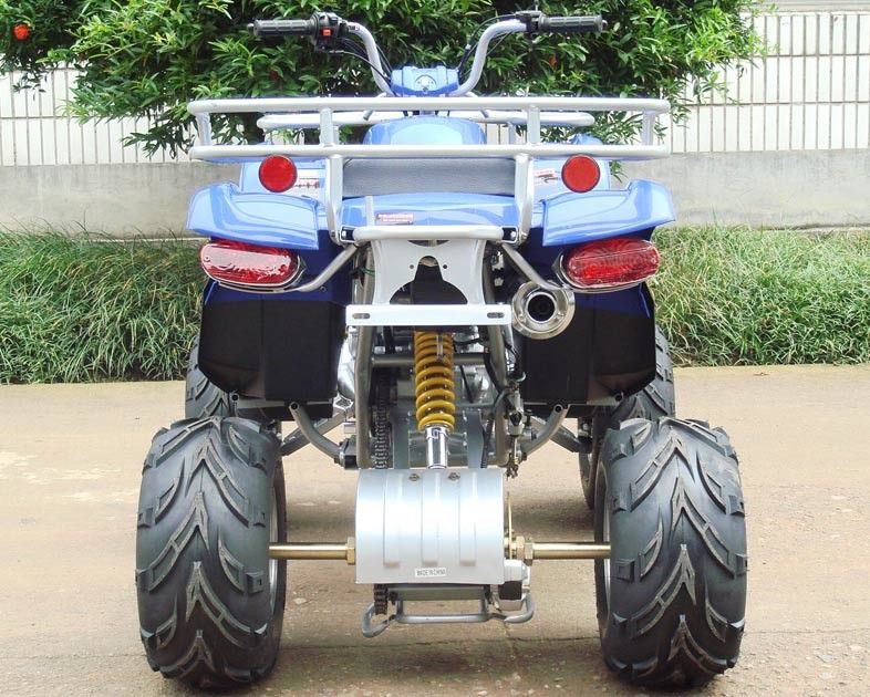 الجبهة مزدوجة ألف - الذراع فائدة مركبة ATV 250cc مع 8 