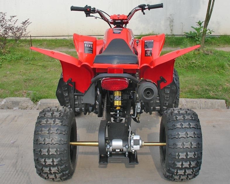 أحمر 250CC فائدة مركبة ATV 8 