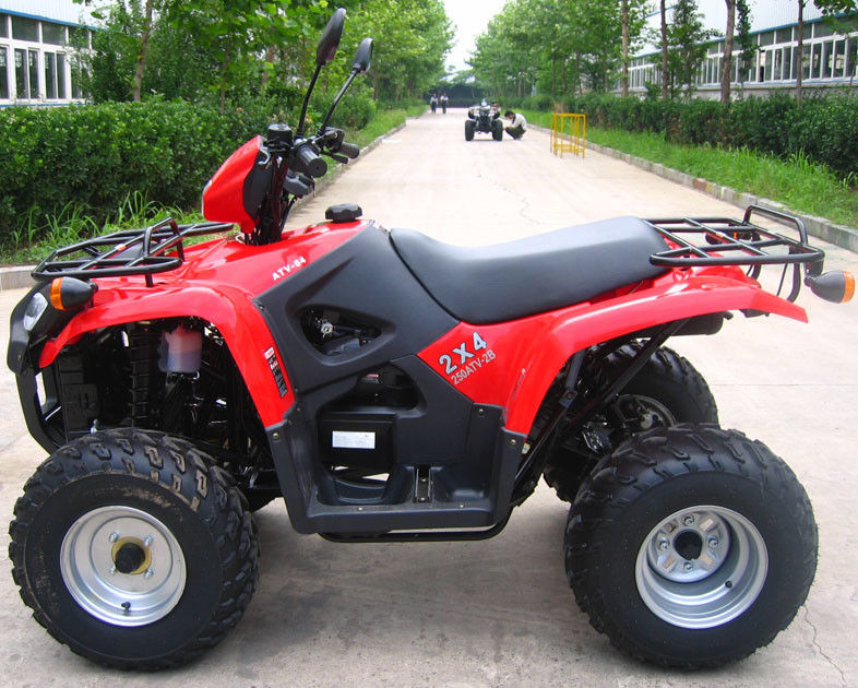 النفط المبردة سباق الشباب atv 260cc مع حجم كبير عكس العتاد / داخل صندوق التروس