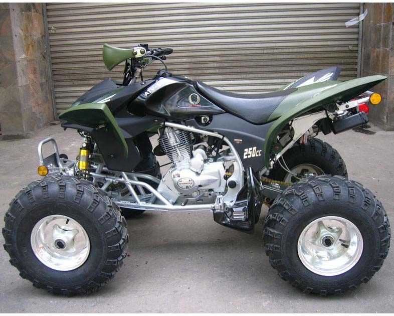 اضافية كبيرة سباق الشباب atv 250cc atv رباعية الدراجة cdi بدء الكهربائية دليل الفاصل