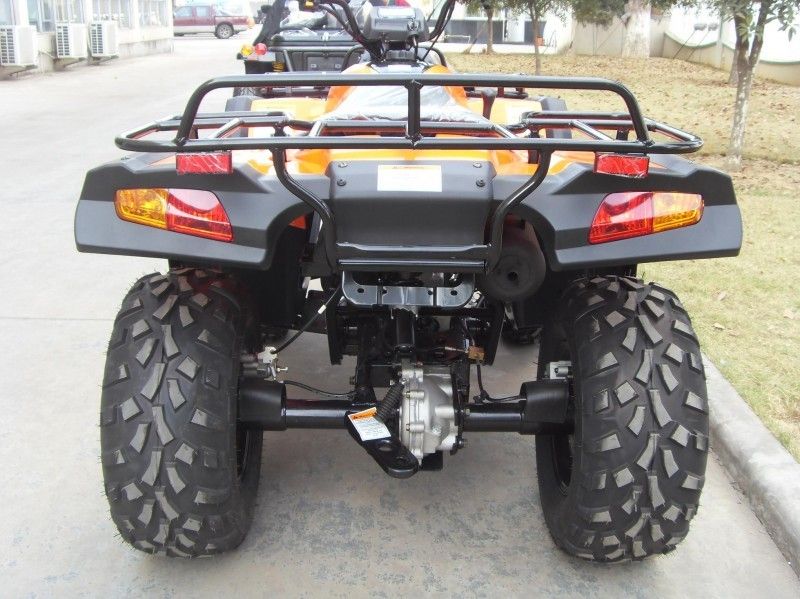 300CC مركبة منفعة ATV 40.3mile / H مع 2 مقاعد ، مزدوجة A-Arm / Single A-Arm