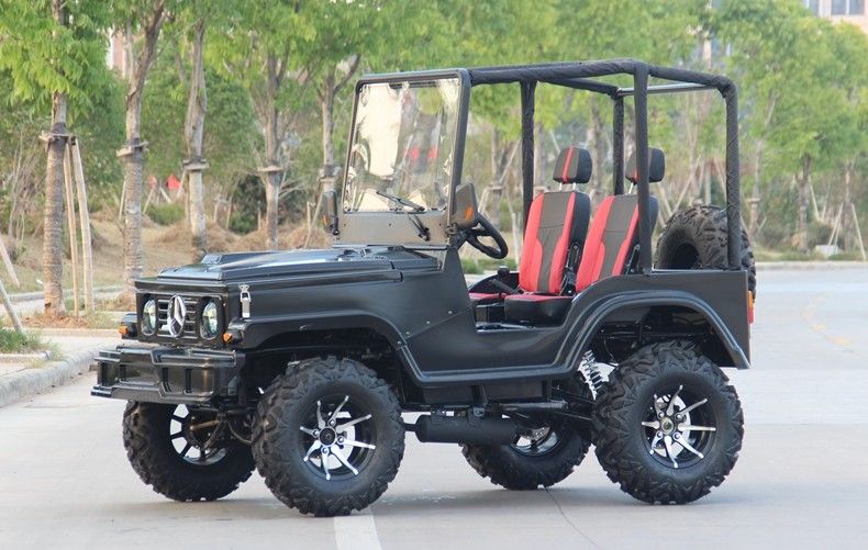 ميني جيب 4WD سباق ATV الرياضة الذهاب كارت العربات التي تجرها الدواب للبالغين ، 300cc الذهاب كارت