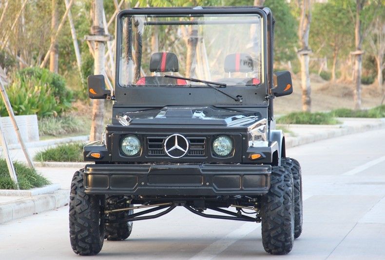 ميني جيب 4WD سباق ATV الرياضة الذهاب كارت العربات التي تجرها الدواب للبالغين ، 300cc الذهاب كارت