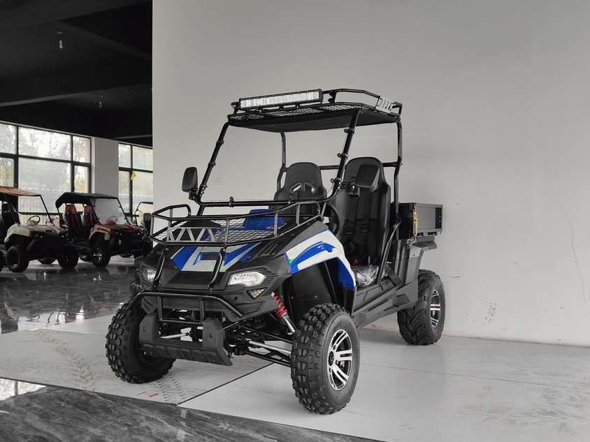 مركبات الغاز 200EUX (EFI) Utv CTV الآلي مع عكس ينقلب إلى أسفل 32 درجة