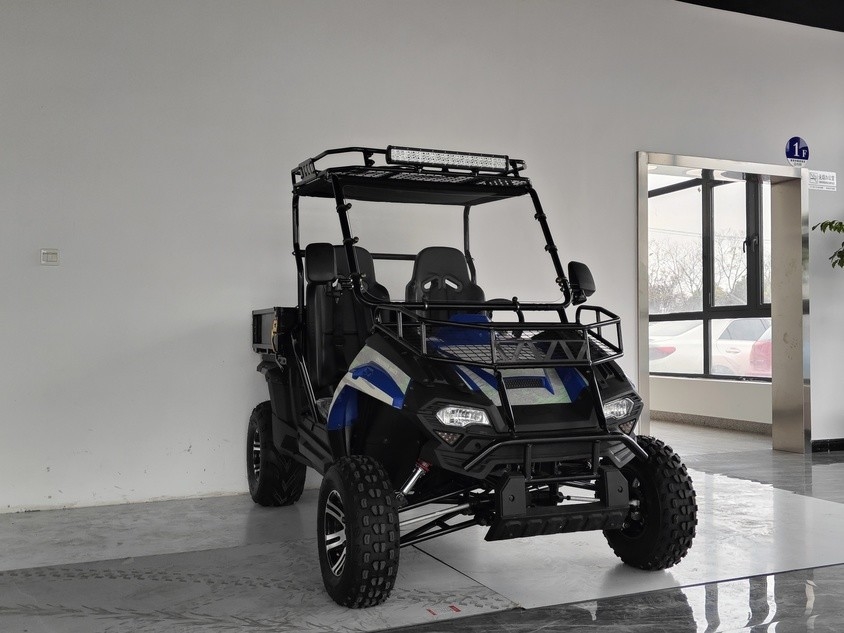 مركبات الغاز 200EUX (EFI) Utv CTV الآلي مع عكس ينقلب إلى أسفل 32 درجة