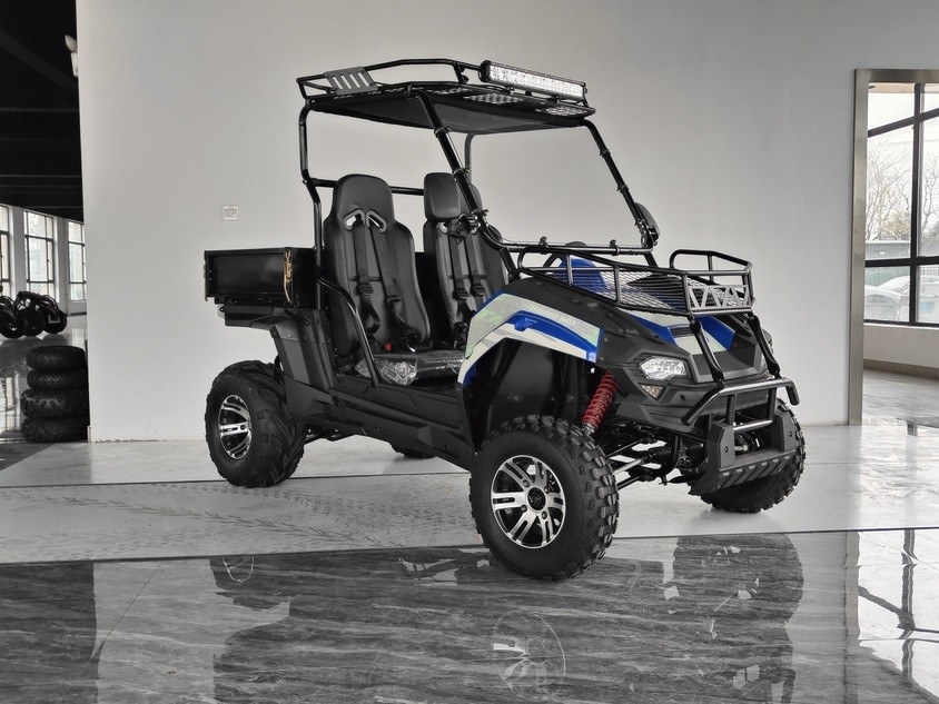 مركبات الغاز 200EUX (EFI) Utv CTV الآلي مع عكس ينقلب إلى أسفل 32 درجة