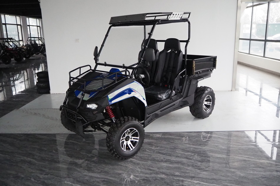 مركبات الغاز 200EUX (EFI) Utv CTV الآلي مع عكس ينقلب إلى أسفل 32 درجة