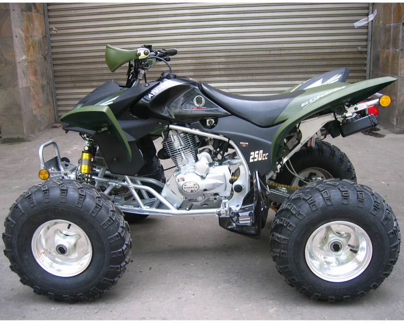الطريق المزرعة والغابات 250cc سباق الشباب ATV ، سرعة قصوى 46.6mile / h