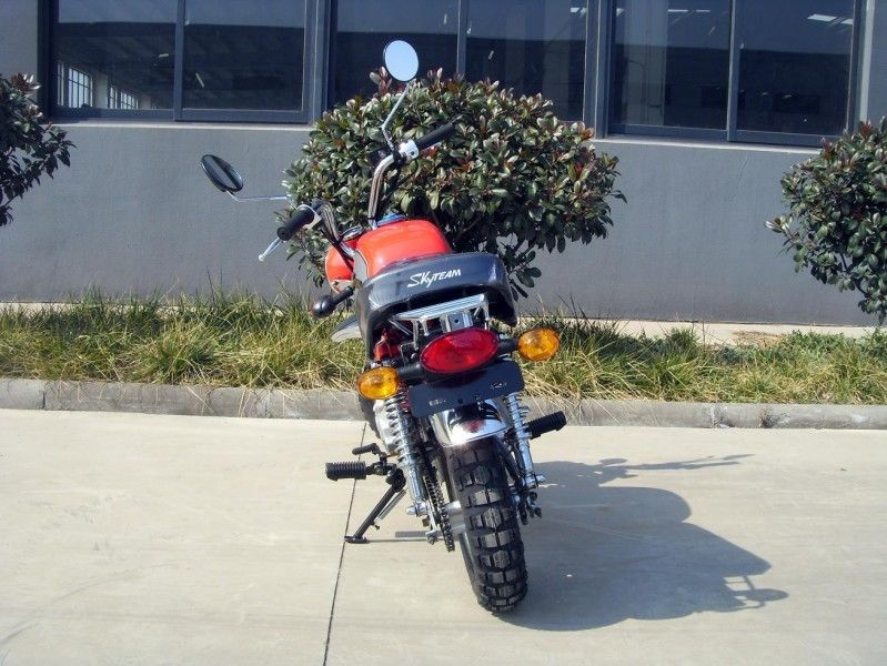 الدولية للدراجات النارية 4-Gear محرك 125cc للبالغين مع أسطواني مدبب