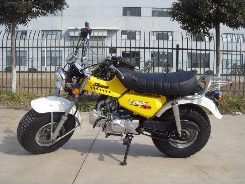 Skyteam T - Rex 125 125cc دراجة صغيرة ، دراجة نارية لشخصين مع 4 سرعات