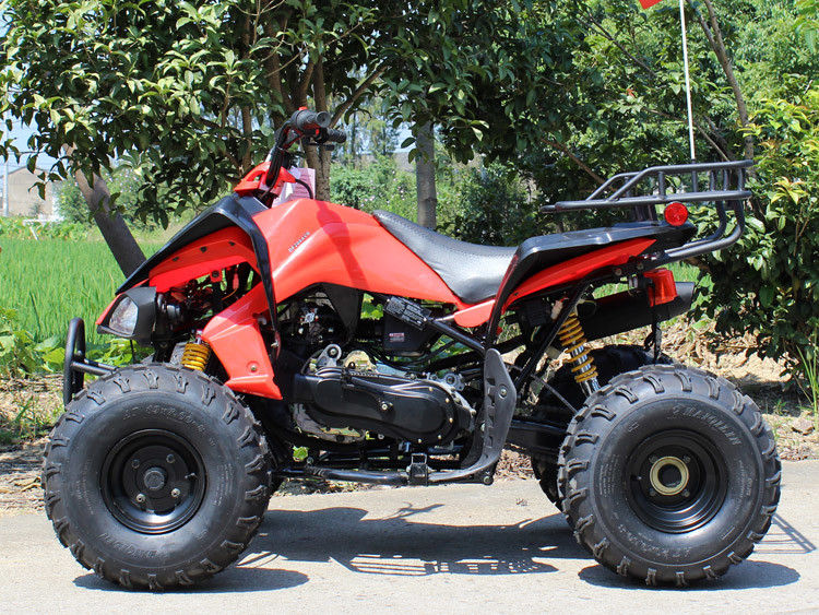 200CC مركبة رباعية الدفع ATV ، 8 