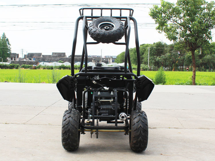 125cc اسطوانة واحدة 2 مقاعد Go Kart 4 Storke 154FMI مع خزان 3L
