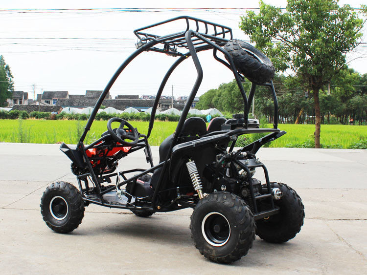 125cc اسطوانة واحدة 2 مقاعد Go Kart 4 Storke 154FMI مع خزان 3L