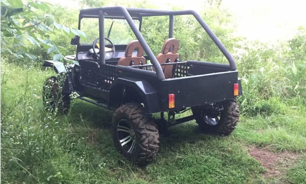 مبردة بالماء Go Kart Buggy 300cc 3.0 X 140 X 170cm مع المحور الخلفي التفاضلي