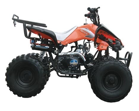 محرك 125cc ATV السيارات الشباب سباق ATV مع عكس الحمل الأقصى 65KG الكهربائية البداية