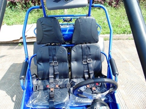 2.25 جالون 17.4 HP CDI Ignition 300cc CVT EFI Go Kart Buggy