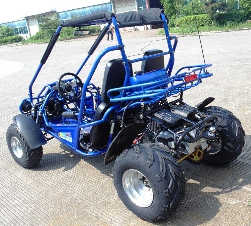 2.25 جالون 17.4 HP CDI Ignition 300cc CVT EFI Go Kart Buggy