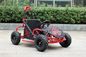 80cc Kids Off Road Go Kart , Max Speed 45km/H Two Person Go Kart EPA Approved