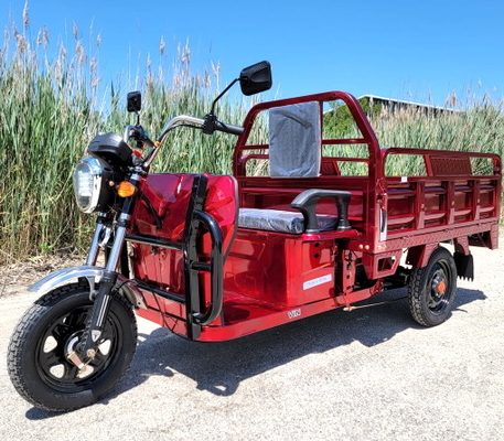 شاحنة بضائع كهربائية 1000 وات دراجة بخارية ثلاثية العجلات